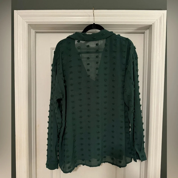 PomPom Buttondown Shirt - Size 2X - Picture 2 of 3